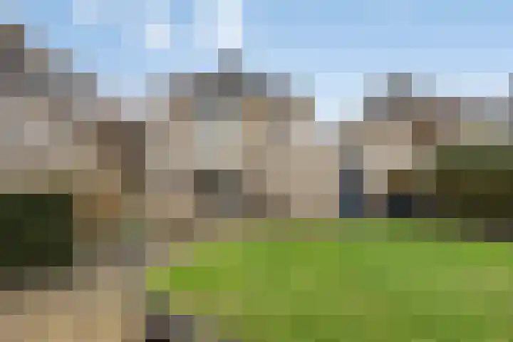 De Sallandse Roe 14 Dronten thumbnail 37