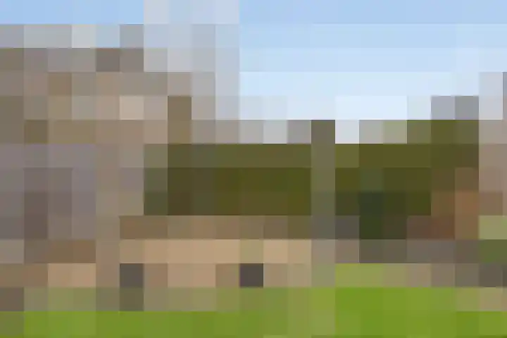 De Sallandse Roe 14 Dronten thumbnail 38