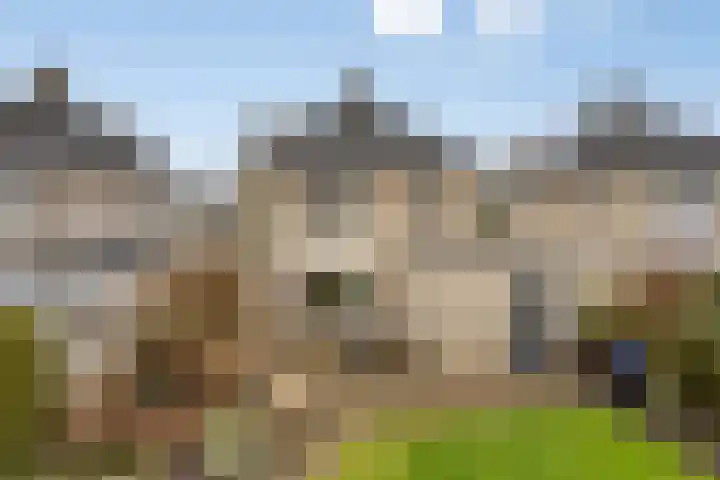 De Sallandse Roe 14 Dronten thumbnail 39