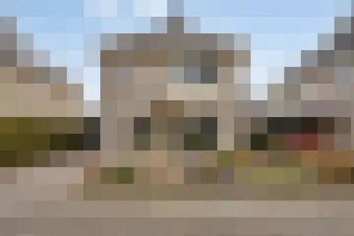 De Sallandse Roe 14 Dronten thumbnail 41