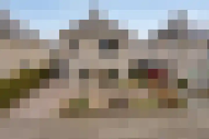 De Sallandse Roe 14 Dronten thumbnail 42