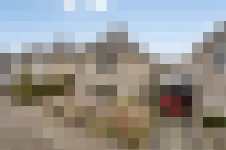 De Sallandse Roe 14 Dronten thumbnail 43