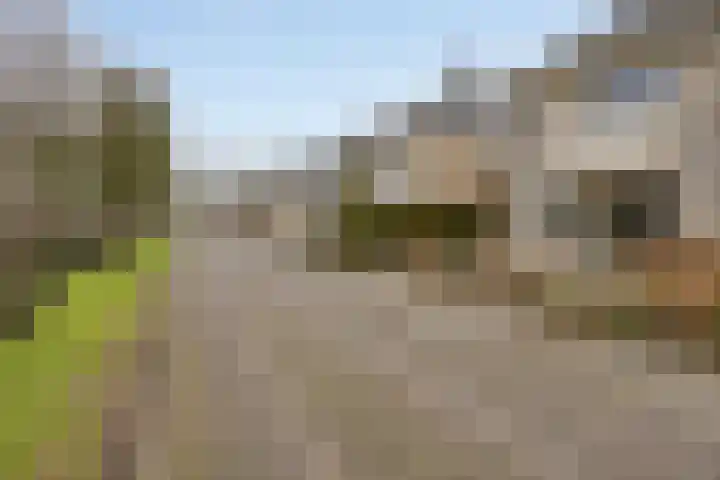 De Sallandse Roe 14 Dronten thumbnail 46