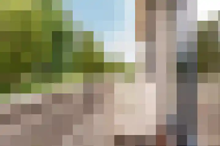 De Sallandse Roe 4 Dronten thumbnail 33