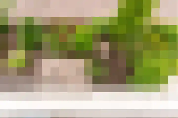 De Sallandse Roe 4 Dronten thumbnail 34