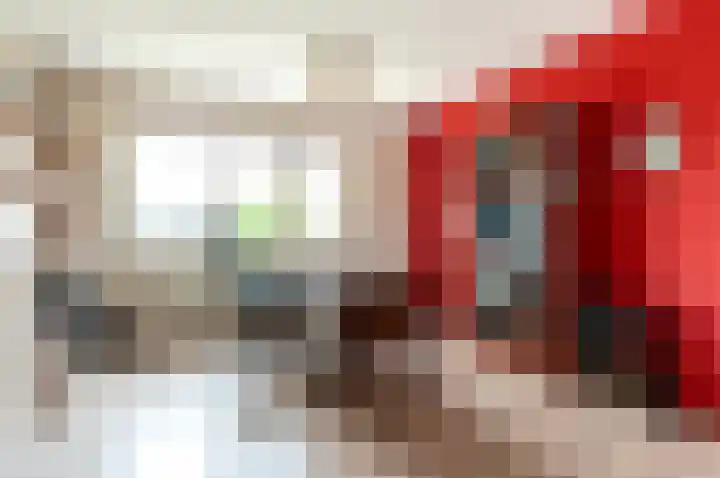 De Sallandse Roe 4 Dronten thumbnail 37