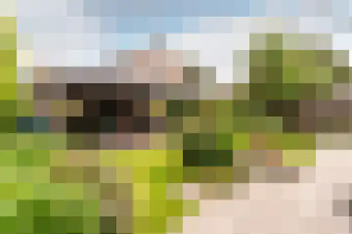 De Sallandse Roe 4 Dronten thumbnail 4