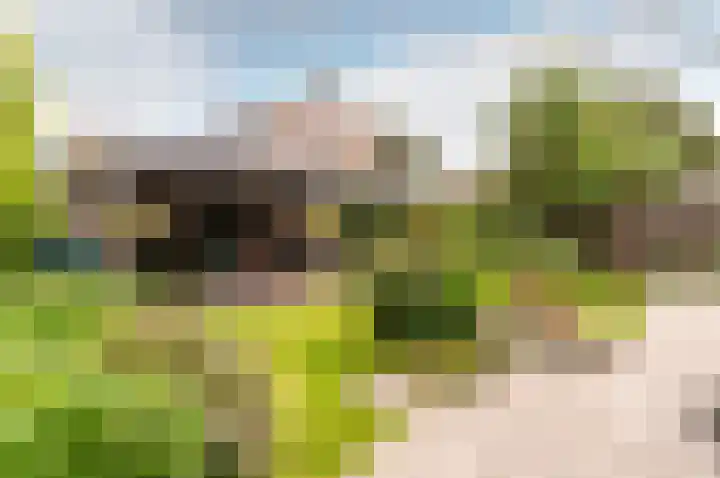 De Sallandse Roe 4 Dronten thumbnail 52