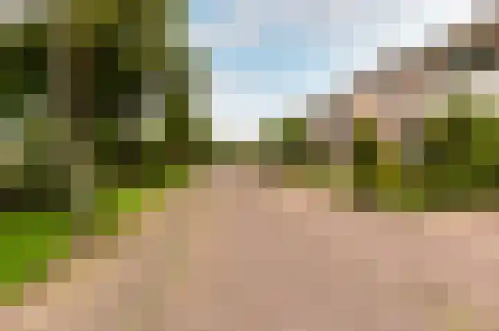 De Sallandse Roe 4 Dronten thumbnail 58