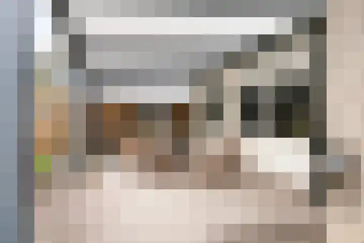 De Sallandse Roe 7 Dronten thumbnail 30