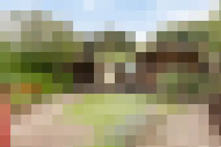 De Sallandse Roe 7 Dronten thumbnail 33