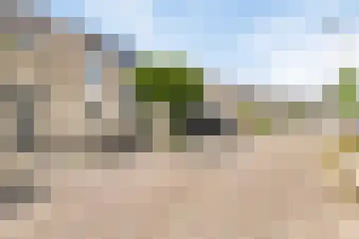 De Sallandse Roe 7 Dronten thumbnail 34