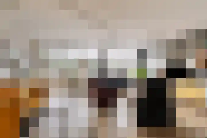 De Sallandse Roe 7 Dronten thumbnail 8