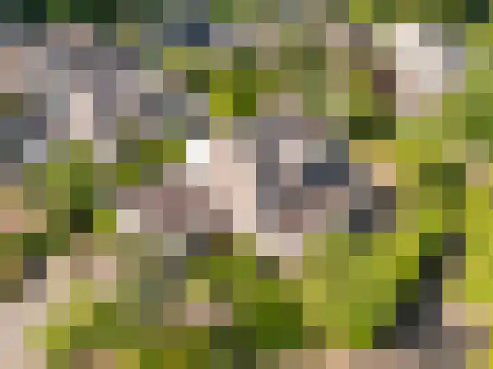 De Santbrincke 55 Fluitenberg thumbnail 6