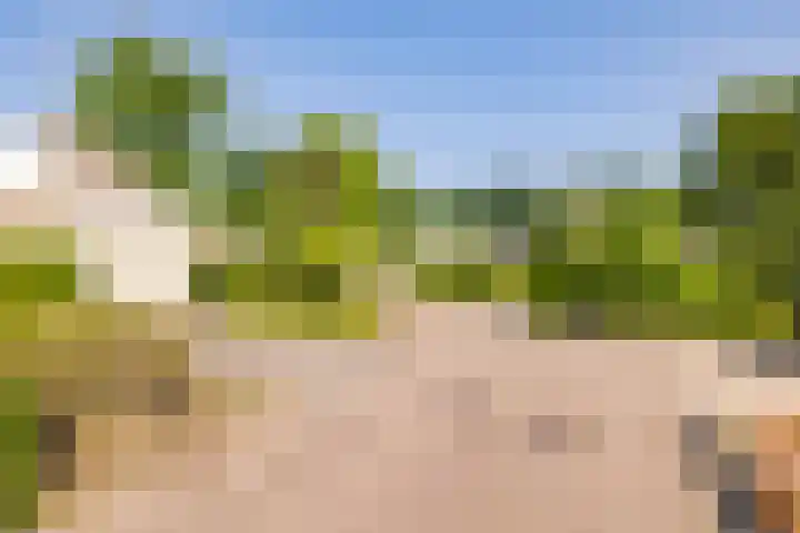 De Santbrincke 55 Fluitenberg thumbnail 64
