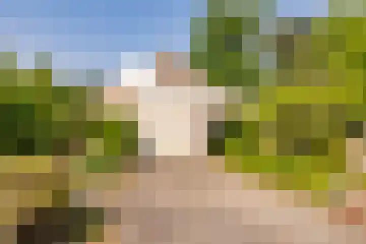 De Santbrincke 55 Fluitenberg thumbnail 7