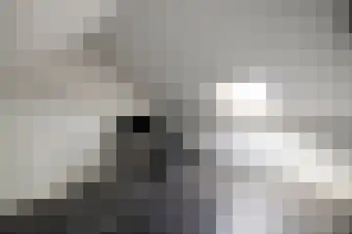 de Schaarsen 4 Heeten thumbnail 20