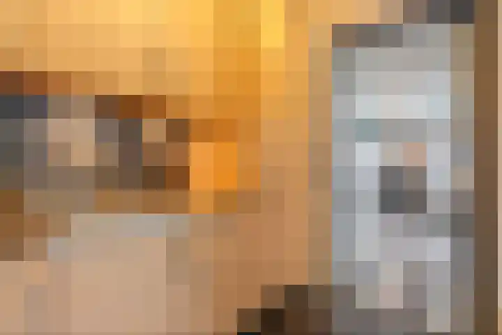 De Schadde 9 Slagharen thumbnail 11