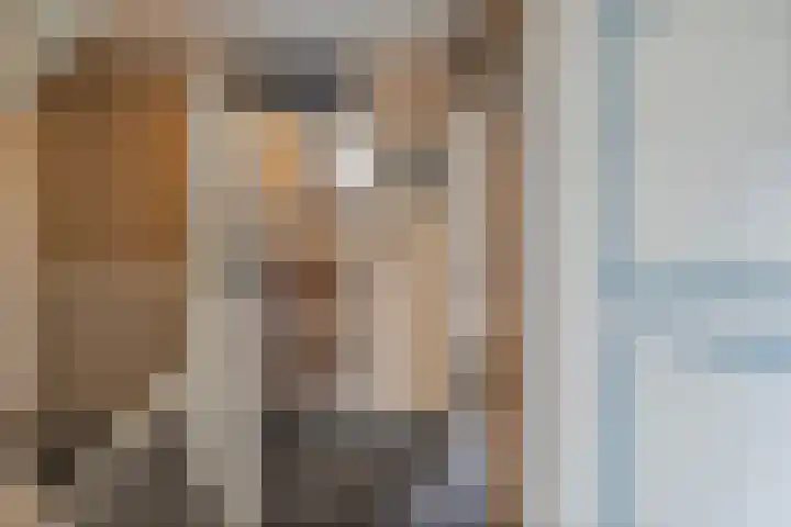 De Schadde 9 Slagharen thumbnail 14