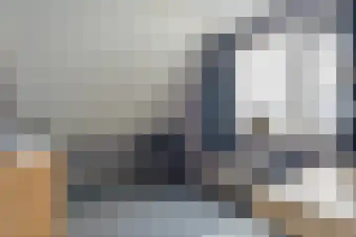 De Schadde 9 Slagharen thumbnail 22