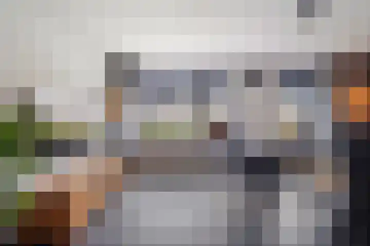 De Schadde 9 Slagharen thumbnail 5