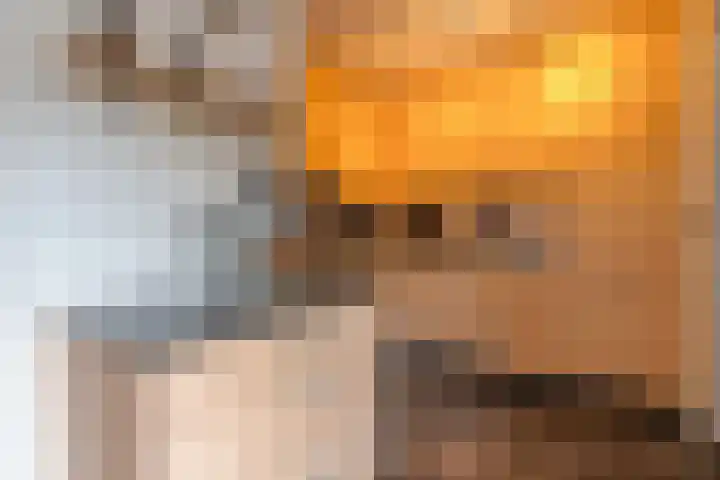 De Schadde 9 Slagharen thumbnail 9