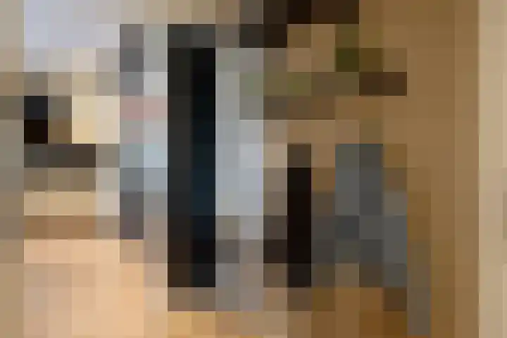 De Schakel 29 Best thumbnail 11