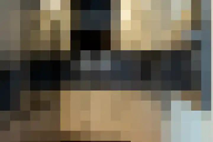 De Schakel 29 Best thumbnail 13