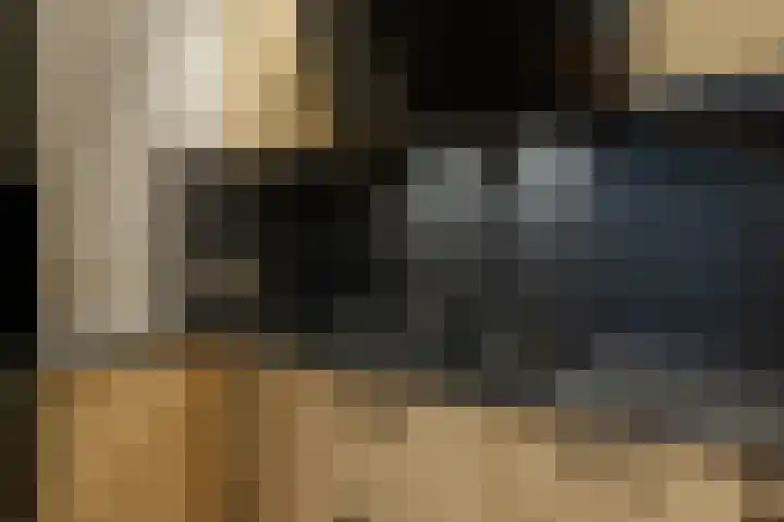 De Schakel 29 Best thumbnail 14