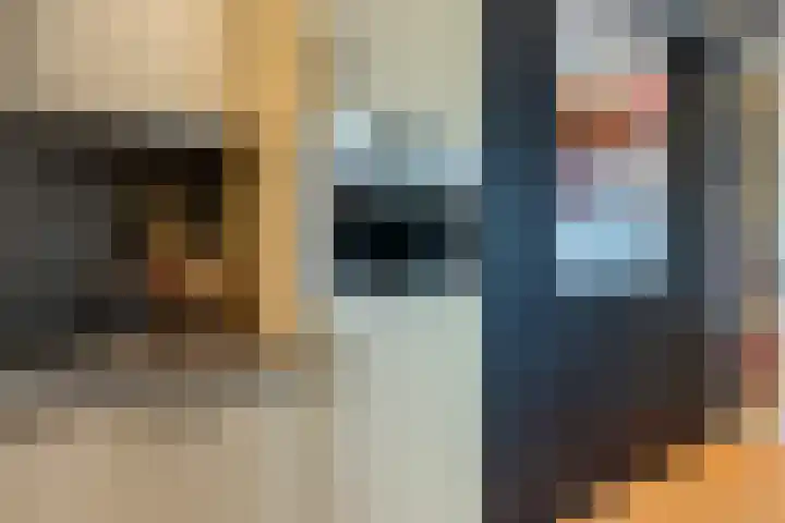 De Schakel 29 Best thumbnail 16