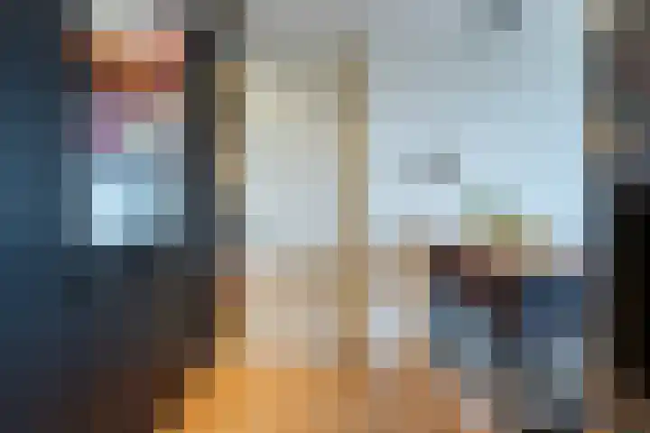 De Schakel 29 Best thumbnail 17