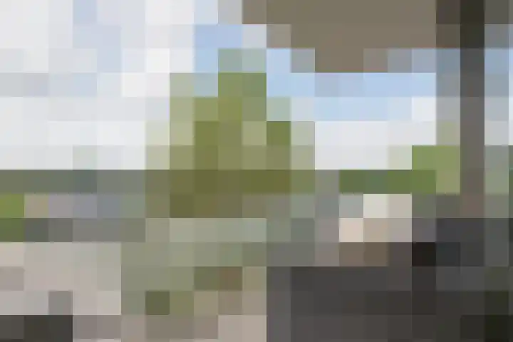 De Schakel 29 Best thumbnail 22