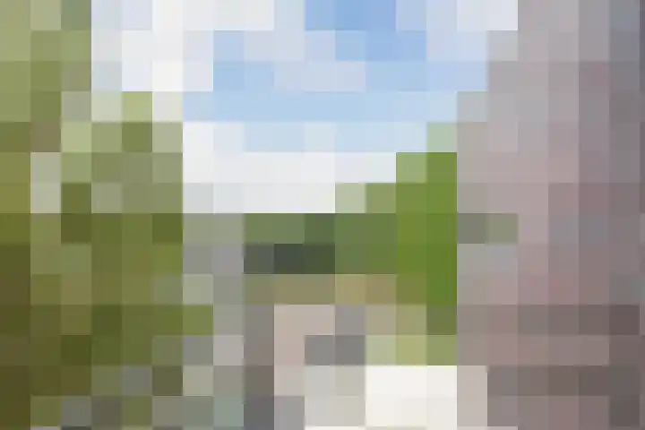 De Schakel 29 Best thumbnail 23