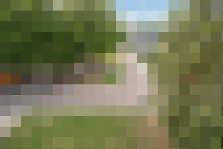 De Schakel 29 Best thumbnail 24