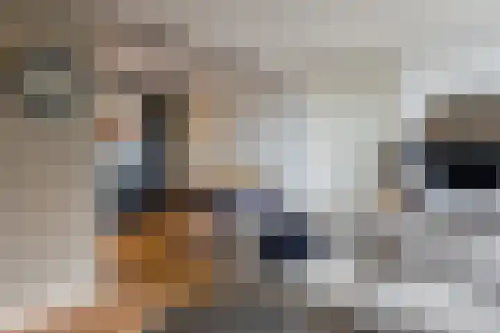 De Schakel 29 Best thumbnail 26