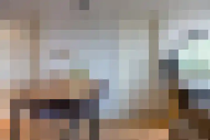 De Schakel 29 Best thumbnail 27