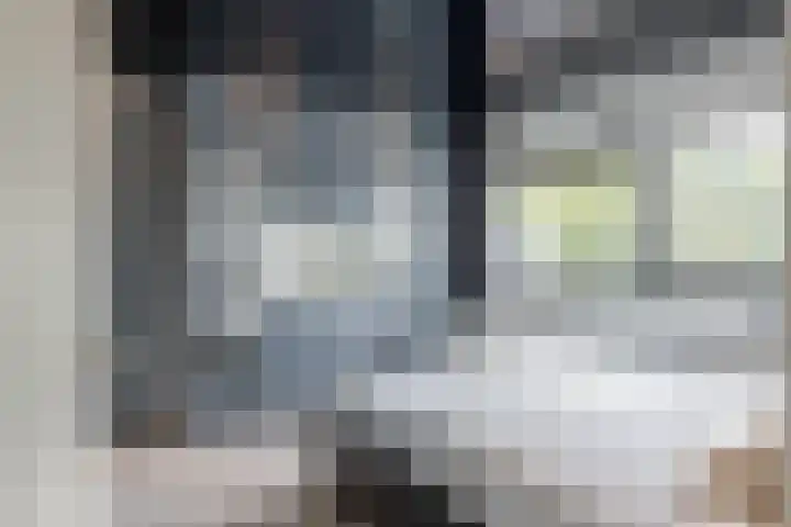 De Schakel 29 Best thumbnail 28