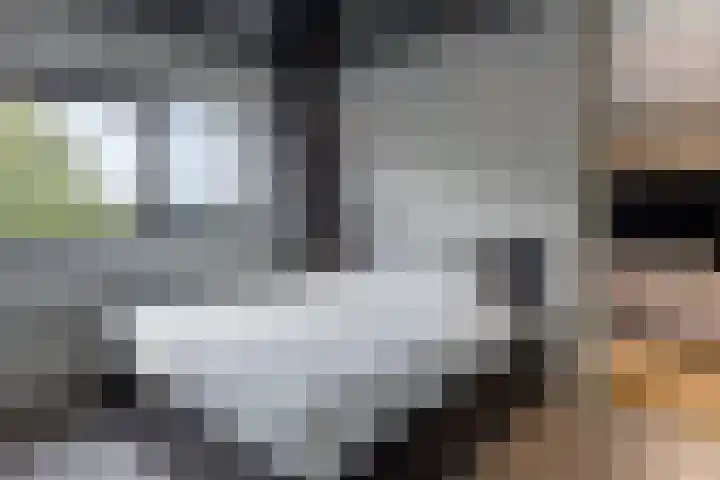 De Schakel 29 Best thumbnail 29