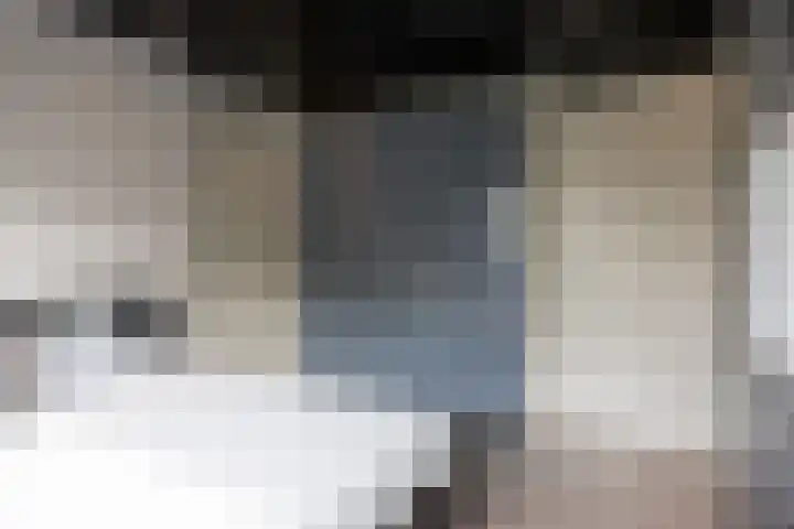 De Schakel 29 Best thumbnail 30