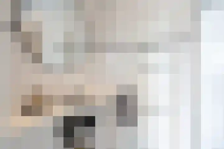 De Schakel 29 Best thumbnail 32