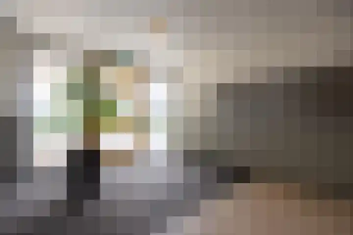De Schakel 29 Best thumbnail 35