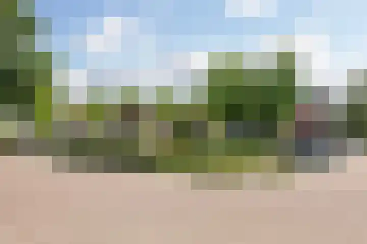 De Schakel 29 Best thumbnail 38