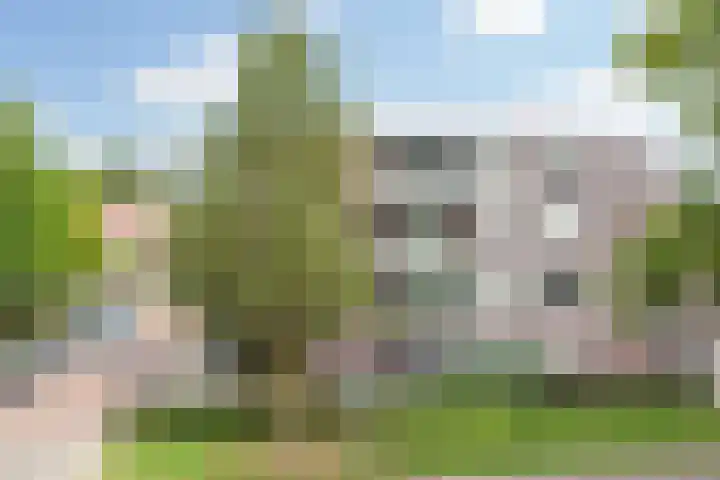 De Schakel 29 Best thumbnail 39