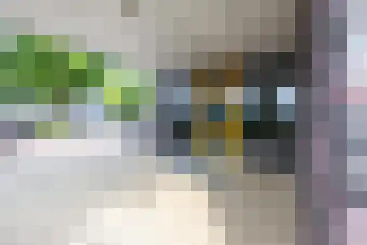 De Schakel 29 Best thumbnail 4