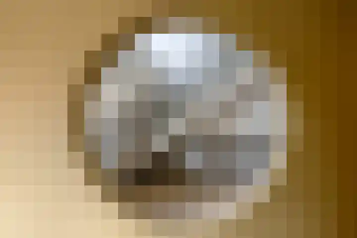 De Schakel 29 Best thumbnail 6