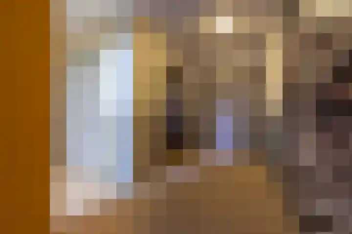 De Schakel 29 Best thumbnail 7