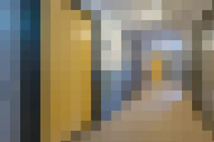 De Schakel 29 Best thumbnail 9