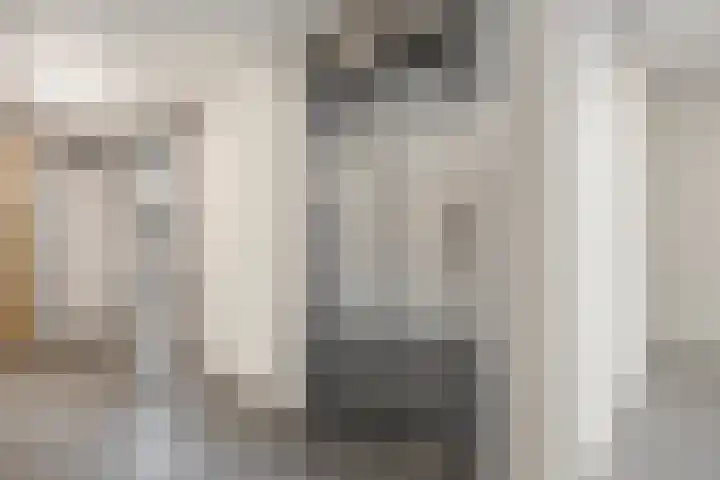De Schakel 49 Best thumbnail 12