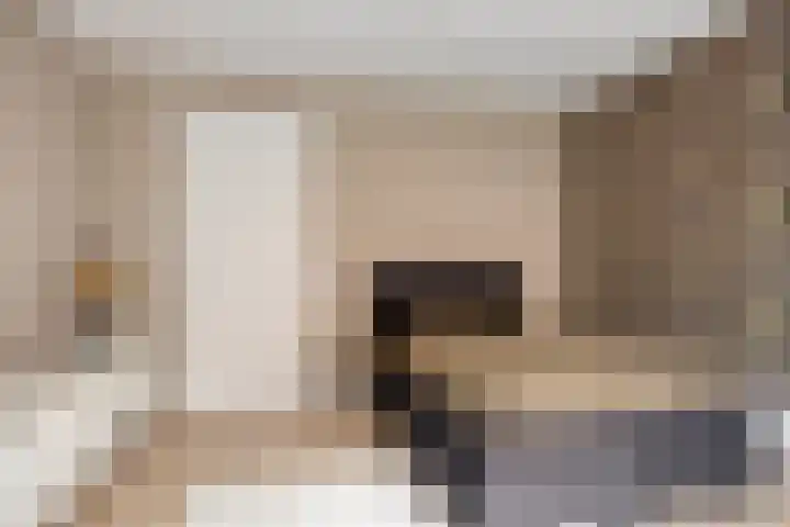 De Schakel 49 Best thumbnail 16