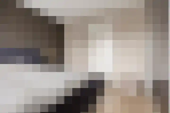De Schakel 49 Best thumbnail 25